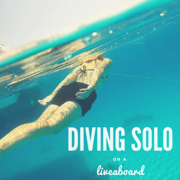 Why Liveaboards are great for solo divers