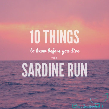 10 things you should know about the Sardine Run