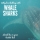 Why snorkelling with Whalesharks should definitely be on your bucket list
